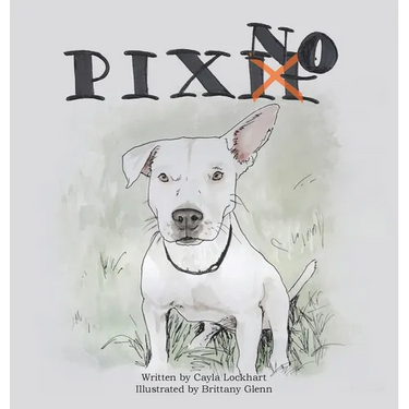 Pixno!