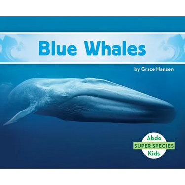 Blue Whales