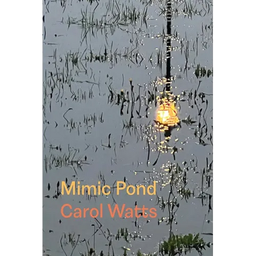 Mimic Pond
