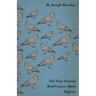 The Four Seasons Real Course about Pigeons