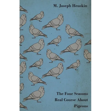 The Four Seasons Real Course about Pigeons