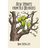 New Sprouts from an Old Branch