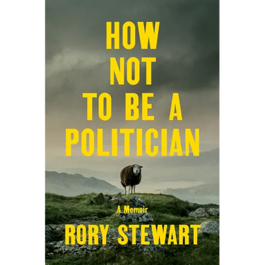 How Not to Be a Politician: A Memoir