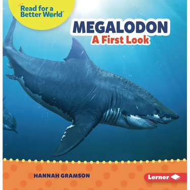 Megalodon: A First Look
