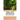 The City of Hay'at: A Collection of Seemingly Unrelated Stories