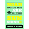 Noah Built His Ark in the Sunshine