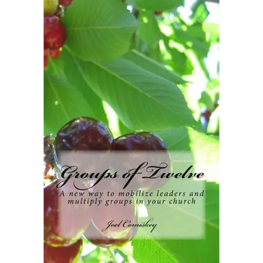 Groups of Twelve: A new way to mobilize leaders and multiply groups in your chur