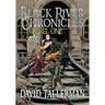 The Black River Chronicles: Level One (Digital Fiction Large Print Edition)