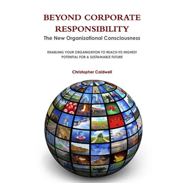 Beyond Corporate Responsibility