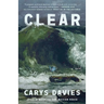 Clear