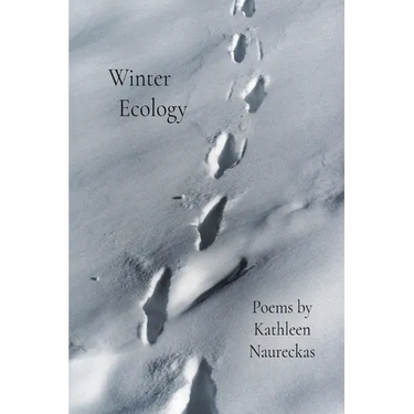 Winter Ecology