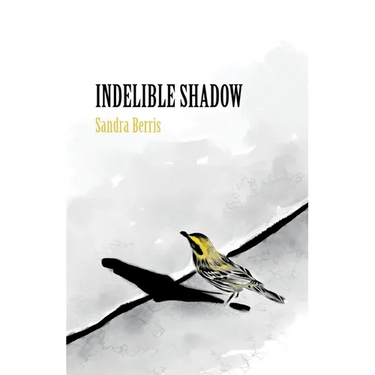 Indelible Shadow