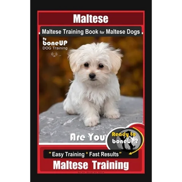 Maltese, Maltese Training Book for Maltese Dogs By BoneUP DOG Training, Are You Ready to Bone Up? Easy Training * Fast Results, Maltese Training
