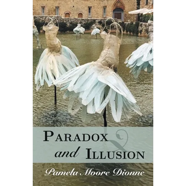 Paradox and Illusion