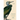 Cormorant
