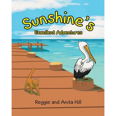Sunshine's Excellent Adventures