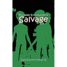 Parallel Encounters - Salvage