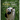 What Would Panda Say?: Everyday Wisdom from Panda Spirit