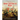 The First Sino-Japanese War: The History and Legacy of the Conflict that Doomed the Chinese Empire and Led to the Rise of Imperial Japan