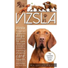 Vizsla