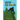 Bigfoot and the Gold Star Kid
