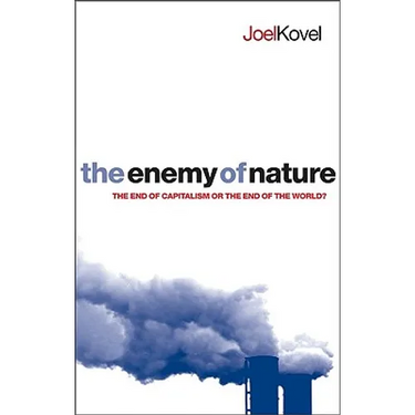 The Enemy of Nature: The End of Capitalism or the End of the World?