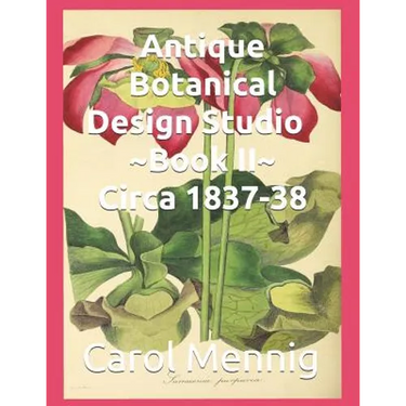 Antique Botanical Design Studio Book II Circa 1837-38