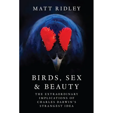 Birds, Sex and Beauty: The Extraordinary Implications of Charles Darwin's Strangest Idea