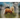Pony