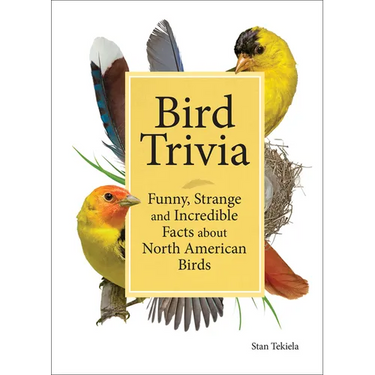 Bird Trivia: Funny, Strange and Incredible Facts about North American Birds