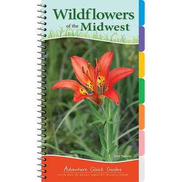 Wildflowers of the Midwest: Your Way to Easily Identify Wildflowers
