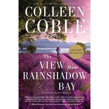 The View from Rainshadow Bay: Romantic Suspense
