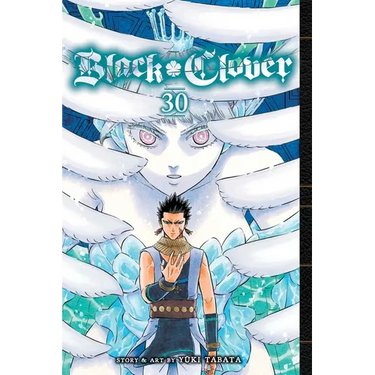 Black Clover, Vol. 30