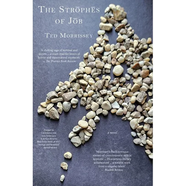 The Strophes of Job
