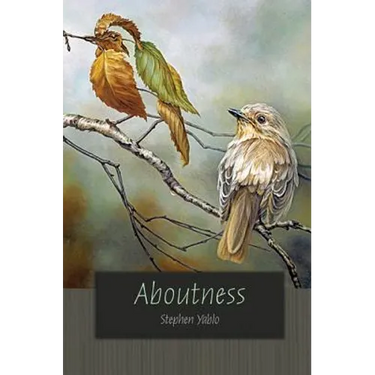 Aboutness