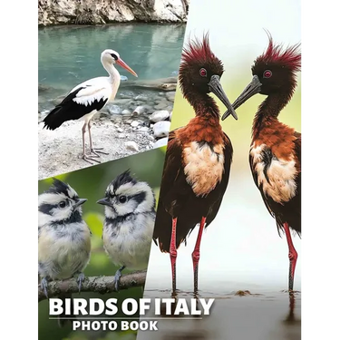 Birds of Italy Photo Book: Explore Italy's Avian Wonders Through A Stunning Collection Of 40 Beautiful Images