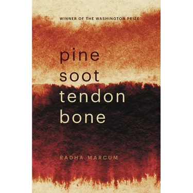 Pine Soot Tendon Bone