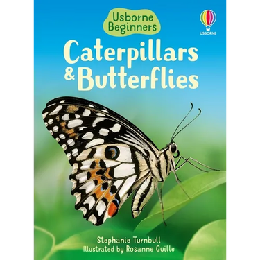 Caterpillars and Butterflies