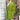 5f5fc1b9-311c-4dd9-9922-b8281d845045-Max