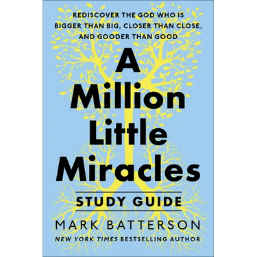 A Million Little Miracles Study Guide: Rediscover the God Who Is Bigger Than Big, Closer Then Close, and Gooder Than Good