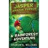 A Rainforest Adventure