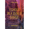 Echoes In A Sunlit Gorge: Poems of meeting