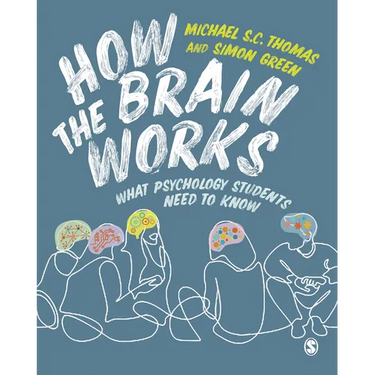 How the Brain Works: What Psychology Students Need to Know