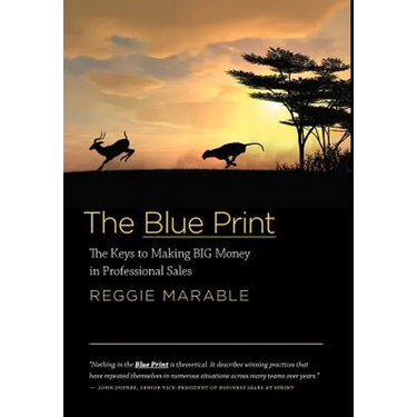 The Blue Print: The Keys to Making BIG Money in Professional Sales