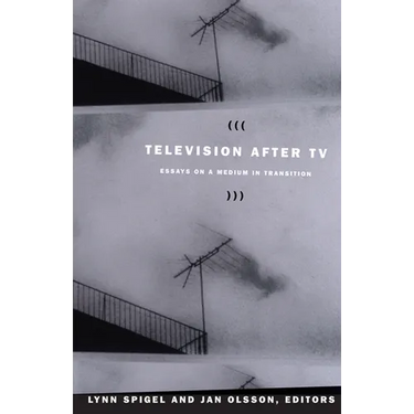 Television after TV: Essays on a Medium in Transition
