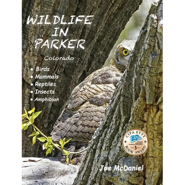 Wildlife In Parker: Colorado