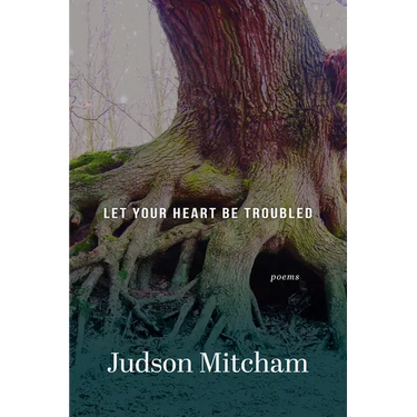 Let Your Heart Be Troubled: Poems