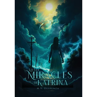 Little Miracles of Katrina
