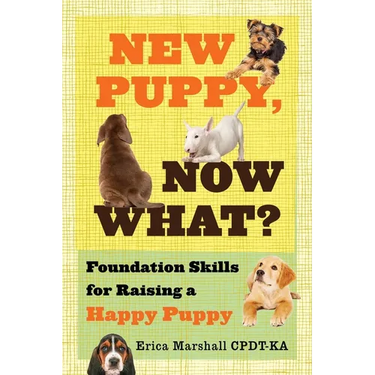 New Puppy, Now What? Foundation Skills for Raising a Happy Puppy