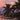 Painting Paradise: The Florida Keys: Past Memories & Present Moments